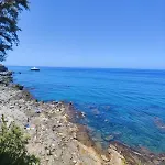 Scinniamare