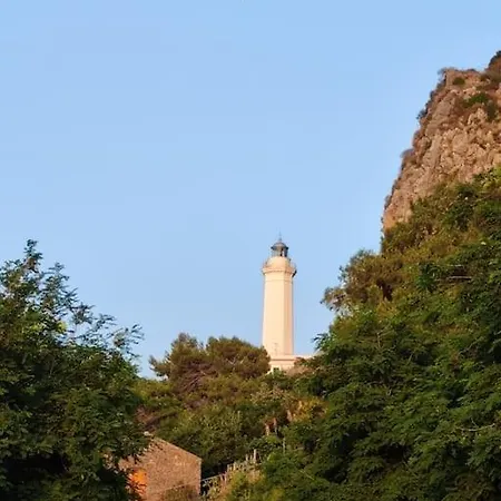 Apartment Scinniamare